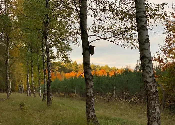 Cyklisty Сasa de vacaciones Moryn